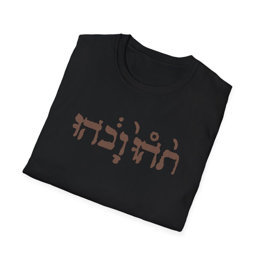 Godspeed You Black Emperor Unisex Softstyle T-Shirt