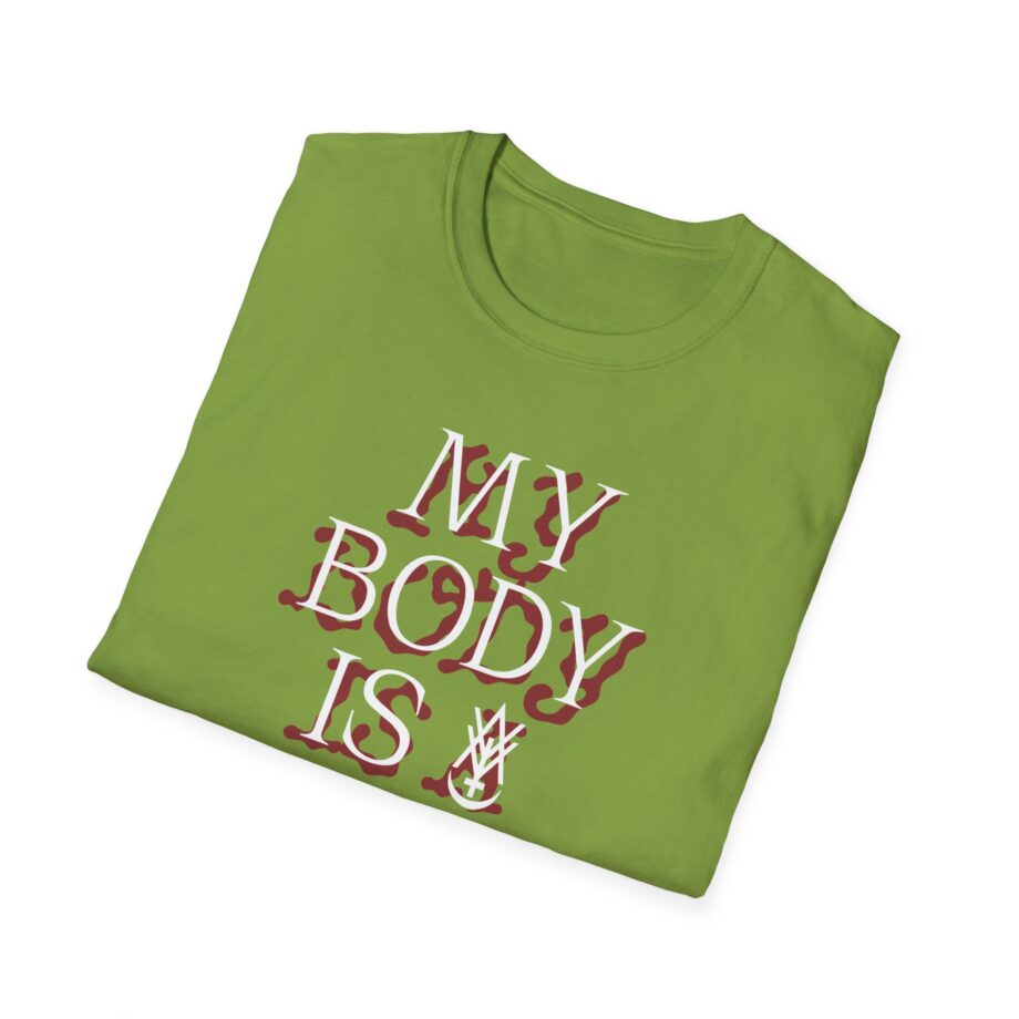 Amigo the Devil My Body is Dive Bar Unisex Softstyle T-shirt