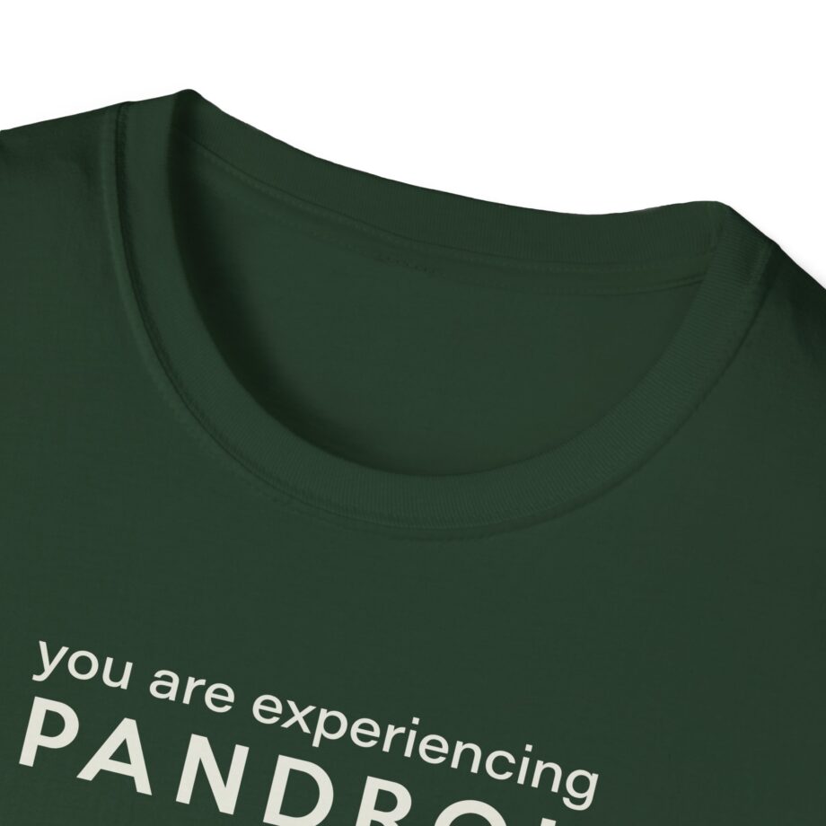 You Are Experiencing Japandroids Unisex Softstyle T-Shirt