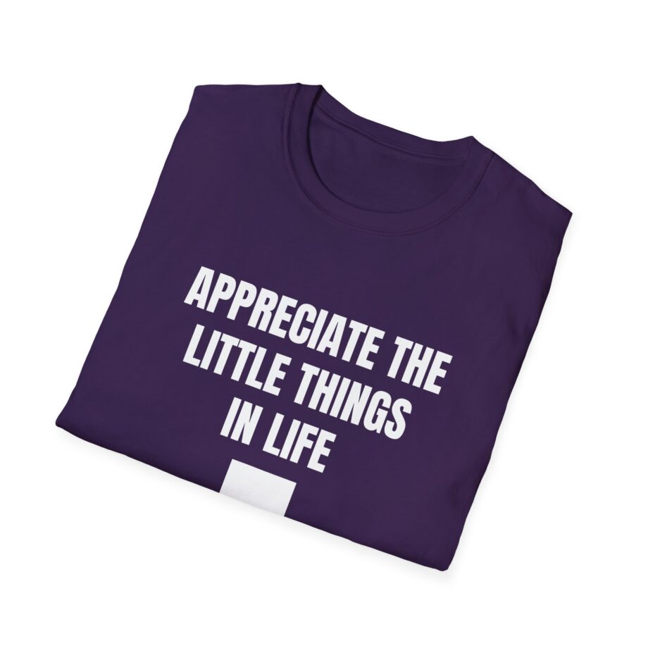 Jynxzi Appreciate the Little Things in Life Unisex Softstyle T-Shirt