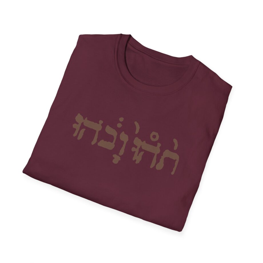 Godspeed You Black Emperor Unisex Softstyle T-Shirt