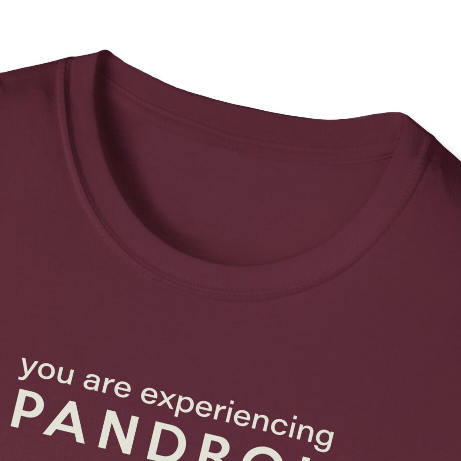 You Are Experiencing Japandroids Unisex Softstyle T-Shirt
