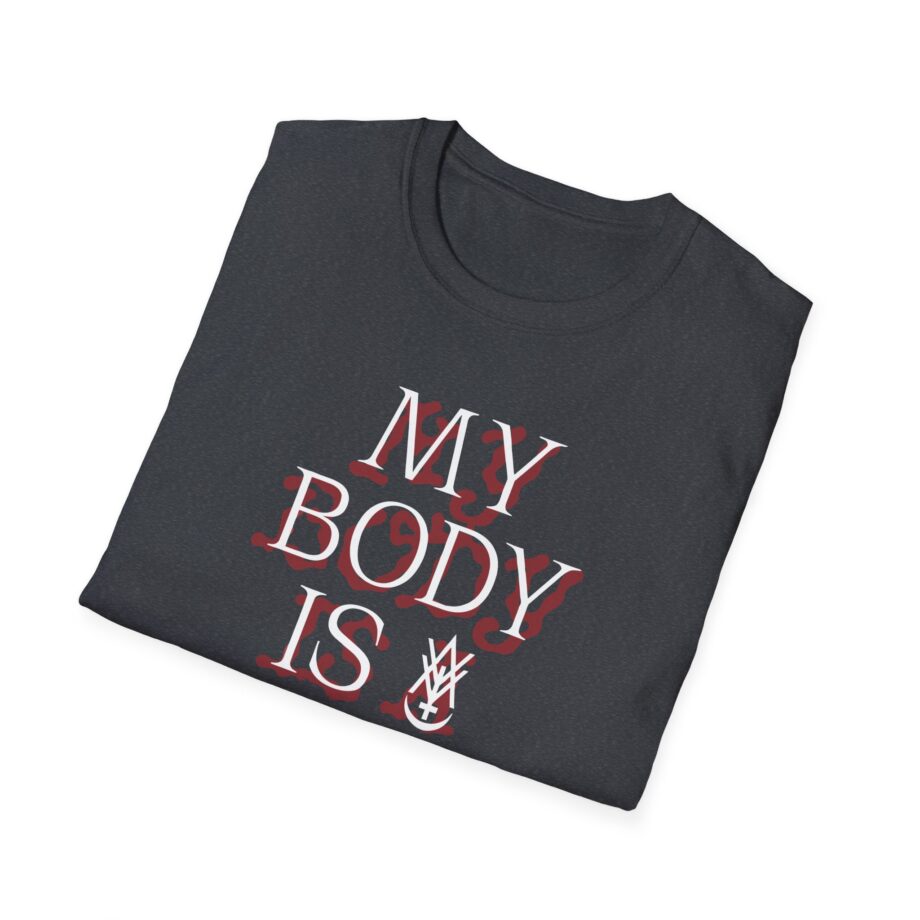 Amigo the Devil My Body is Dive Bar Unisex Softstyle T-shirt