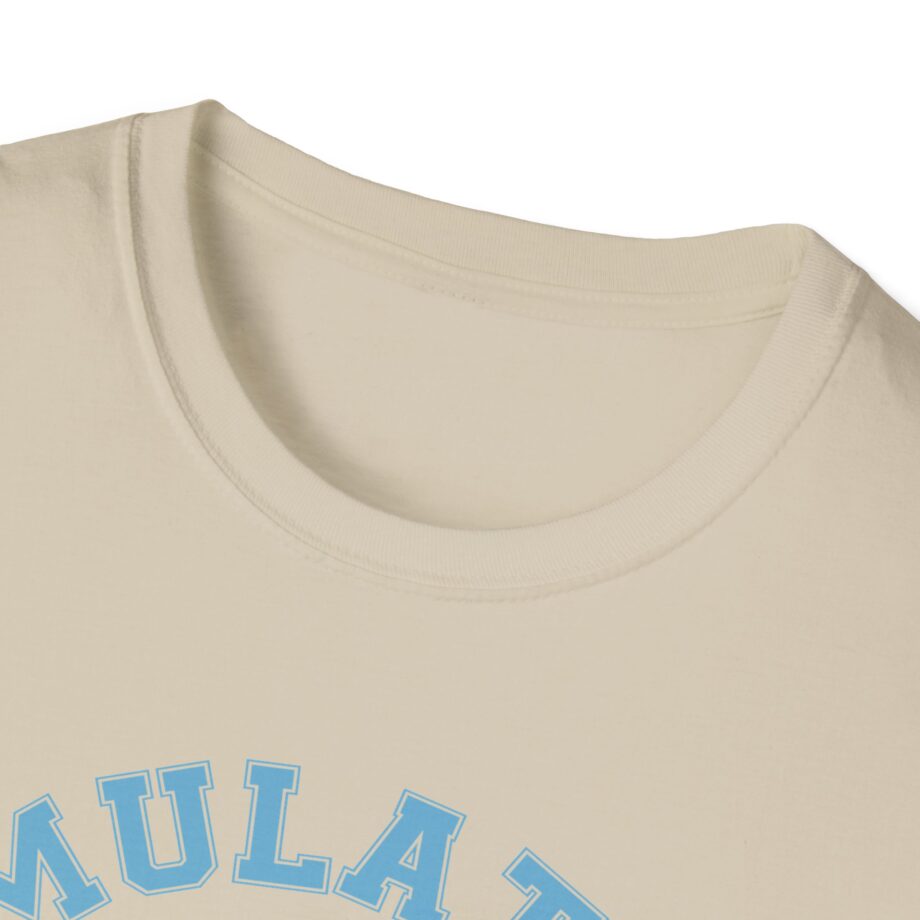 Lilsimsie Unisex Softstyle T-shirt