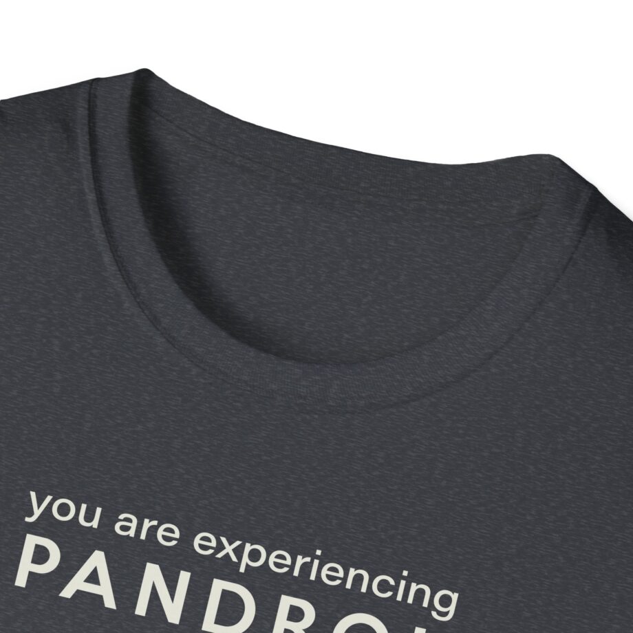 You Are Experiencing Japandroids Unisex Softstyle T-Shirt
