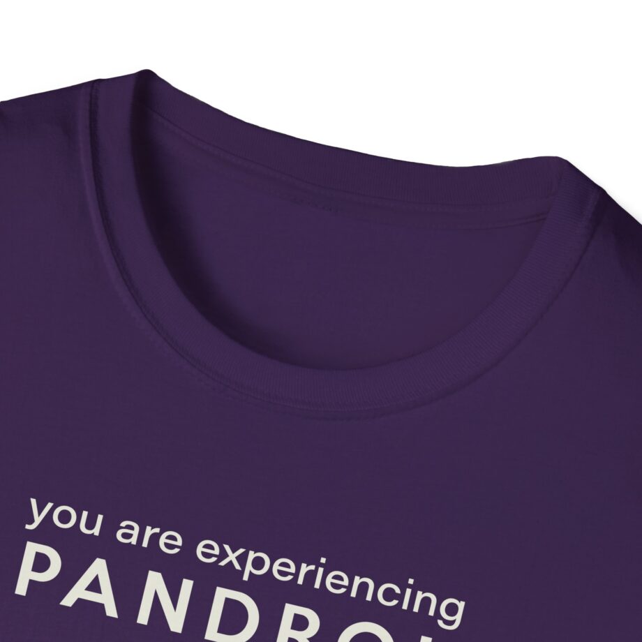 You Are Experiencing Japandroids Unisex Softstyle T-Shirt