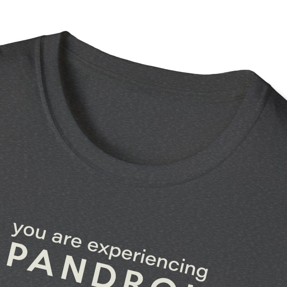 You Are Experiencing Japandroids Unisex Softstyle T-Shirt