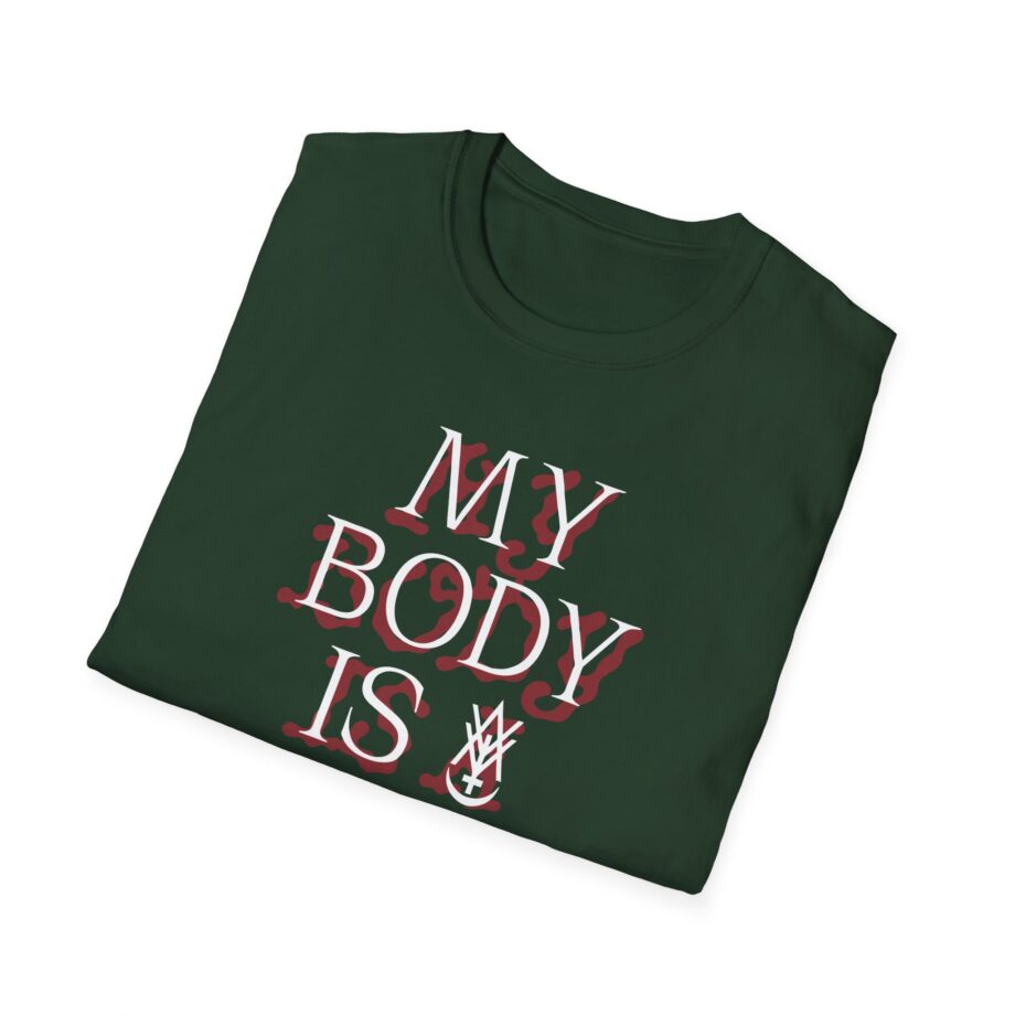 Amigo the Devil My Body is Dive Bar Unisex Softstyle T-shirt