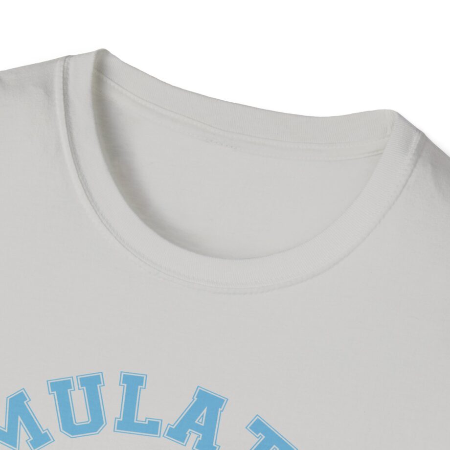 Lilsimsie Unisex Softstyle T-shirt