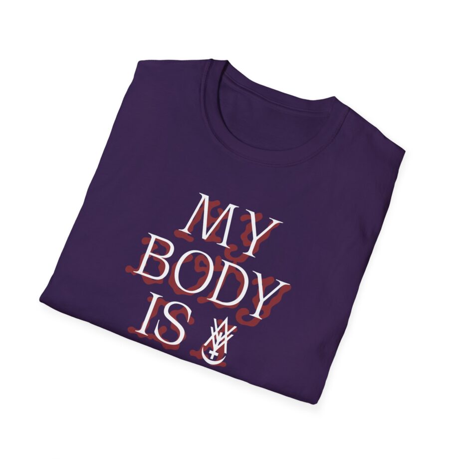 Amigo the Devil My Body is Dive Bar Unisex Softstyle T-shirt