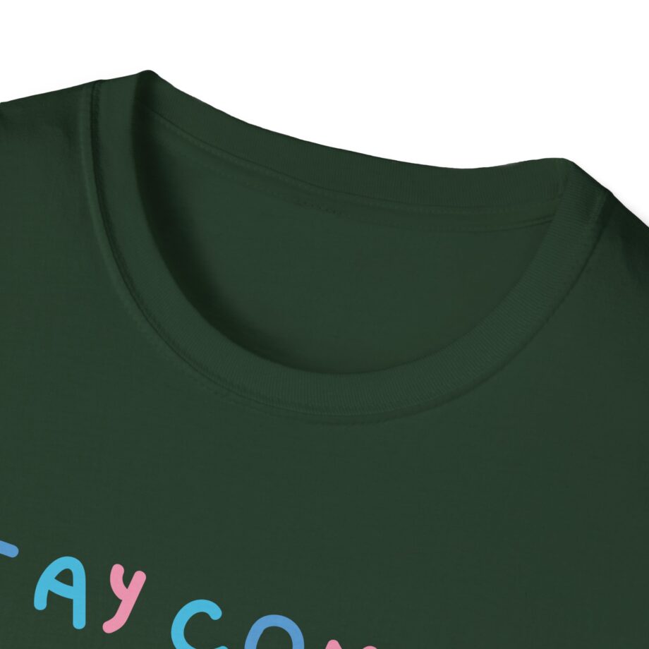 Lilypichu Stay Comfy Unisex Softstyle T-Shirt