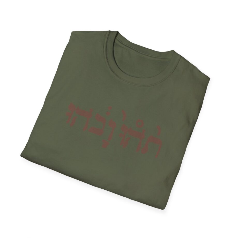 Godspeed You Black Emperor Unisex Softstyle T-Shirt