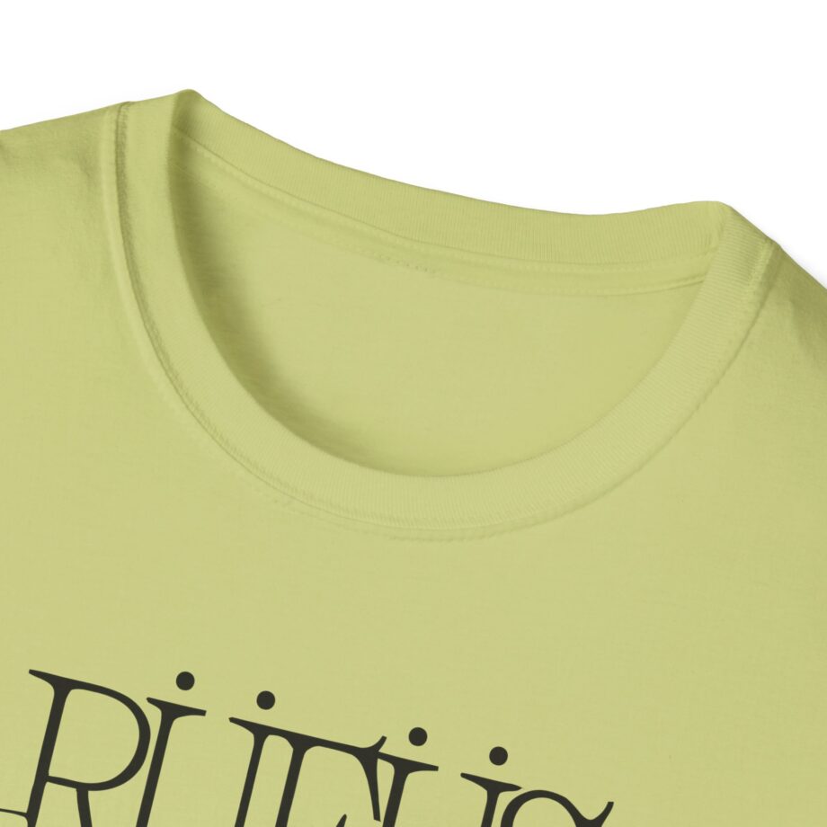 Rufus Du Sol Flower Ecru Unisex Softstyle T-Shirt