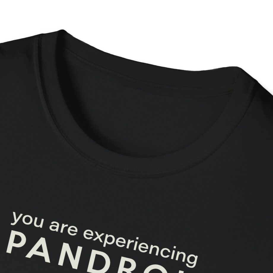 You Are Experiencing Japandroids Unisex Softstyle T-Shirt