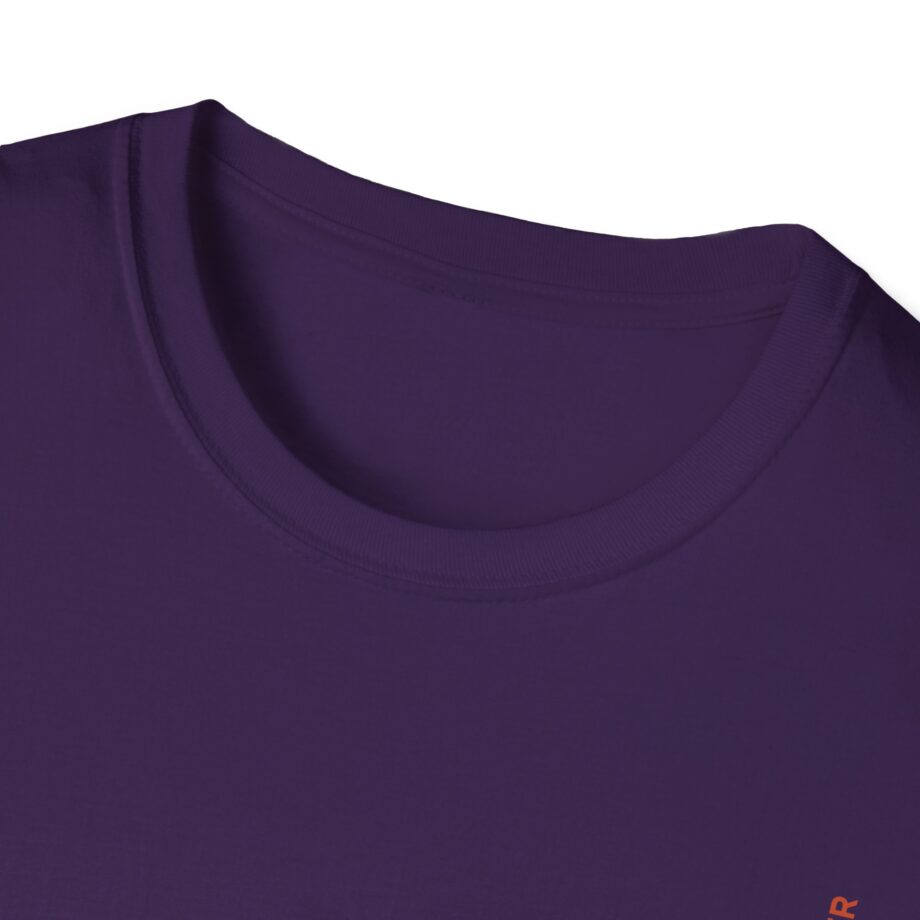 Rufus Du Sol Surrender Unisex Softstyle T-Shirt