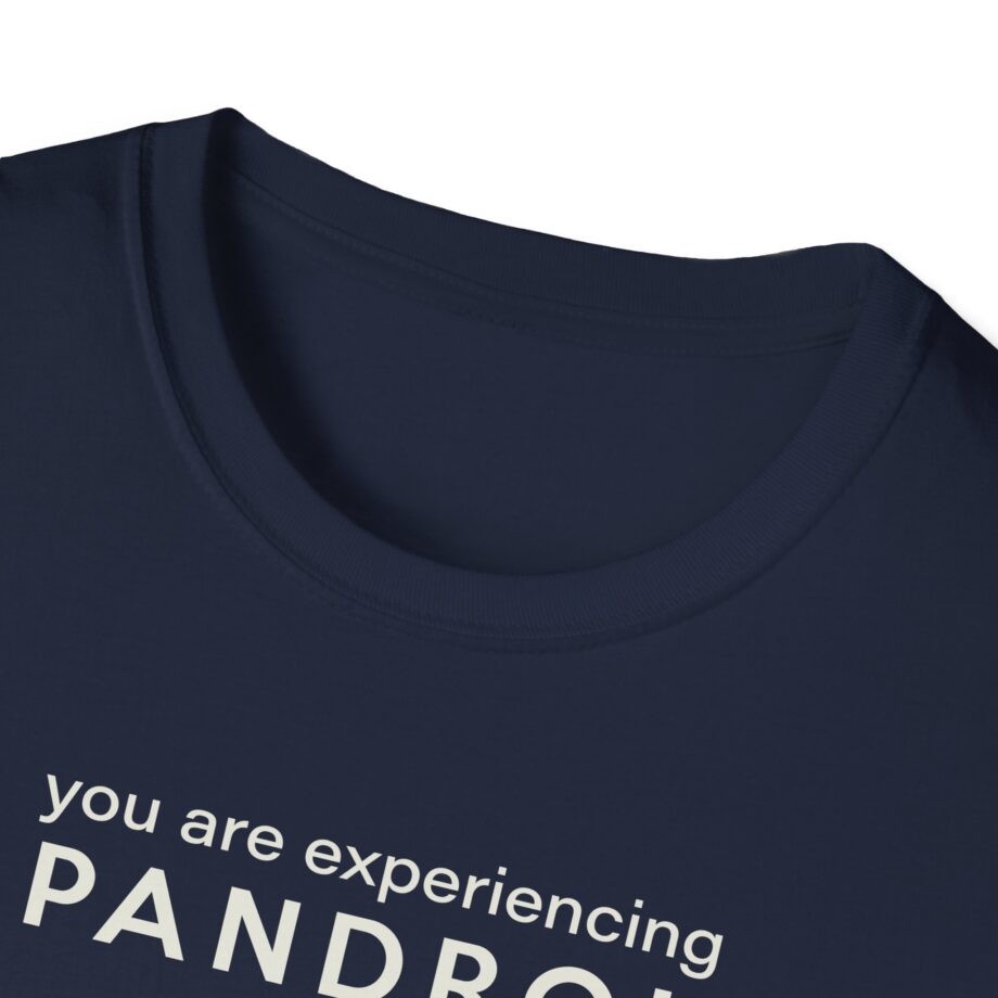 You Are Experiencing Japandroids Unisex Softstyle T-Shirt