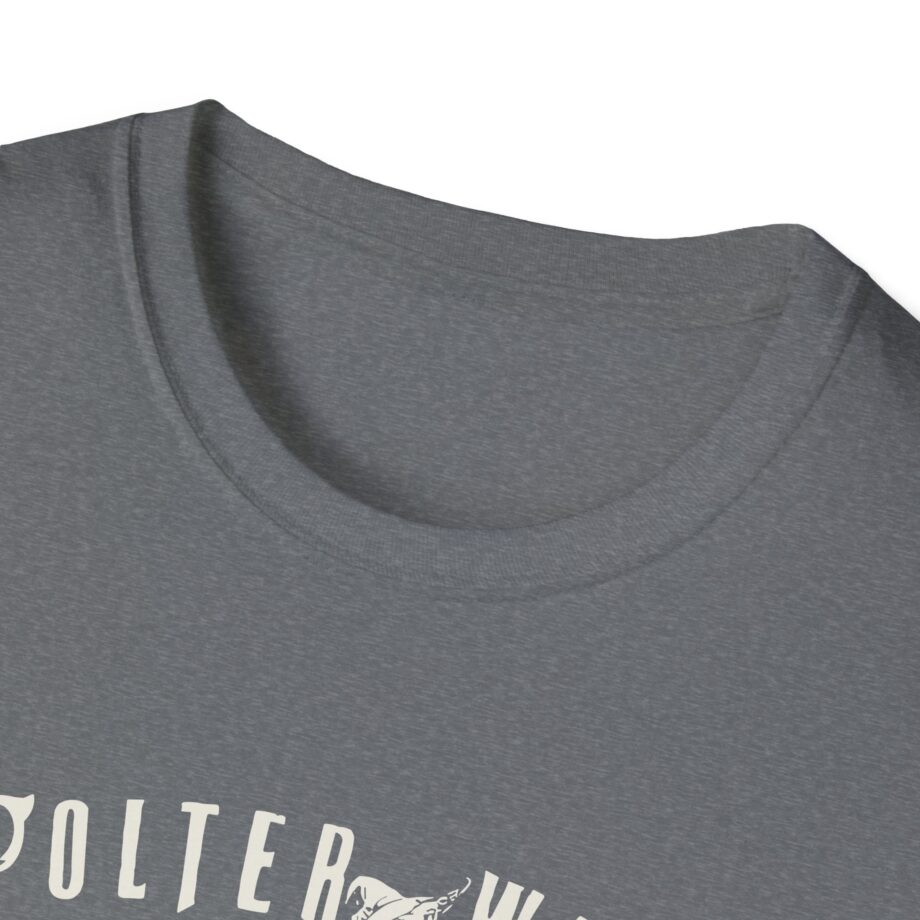 Colter Wall I Was Singin' When I Fell Off Unisex Softstyle T-shirt