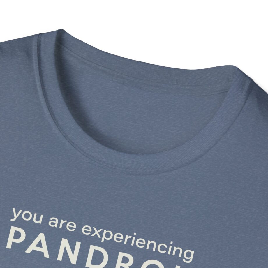 You Are Experiencing Japandroids Unisex Softstyle T-Shirt