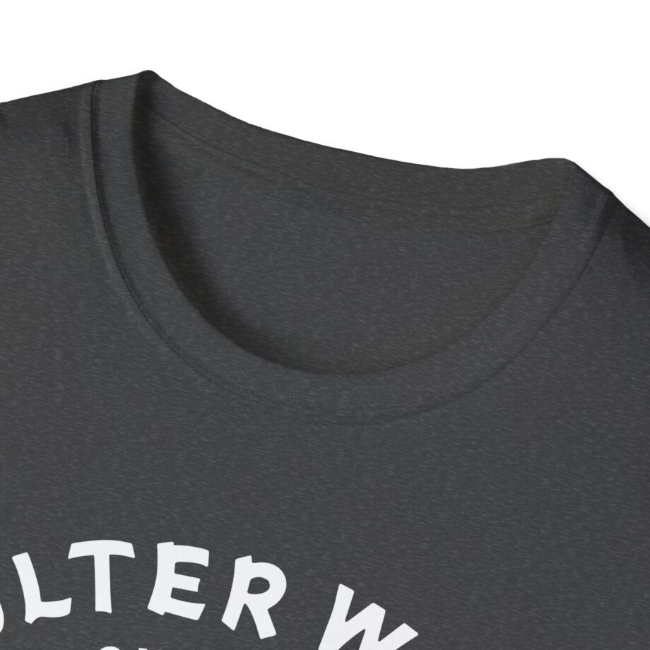 Colter Wall Country Sounds Unisex Softstyle T-shirt