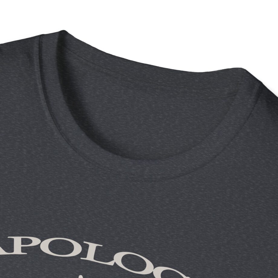 Wave to Earth Slchld 'apology' Na Tour  Unisex Softstyle T-Shirt