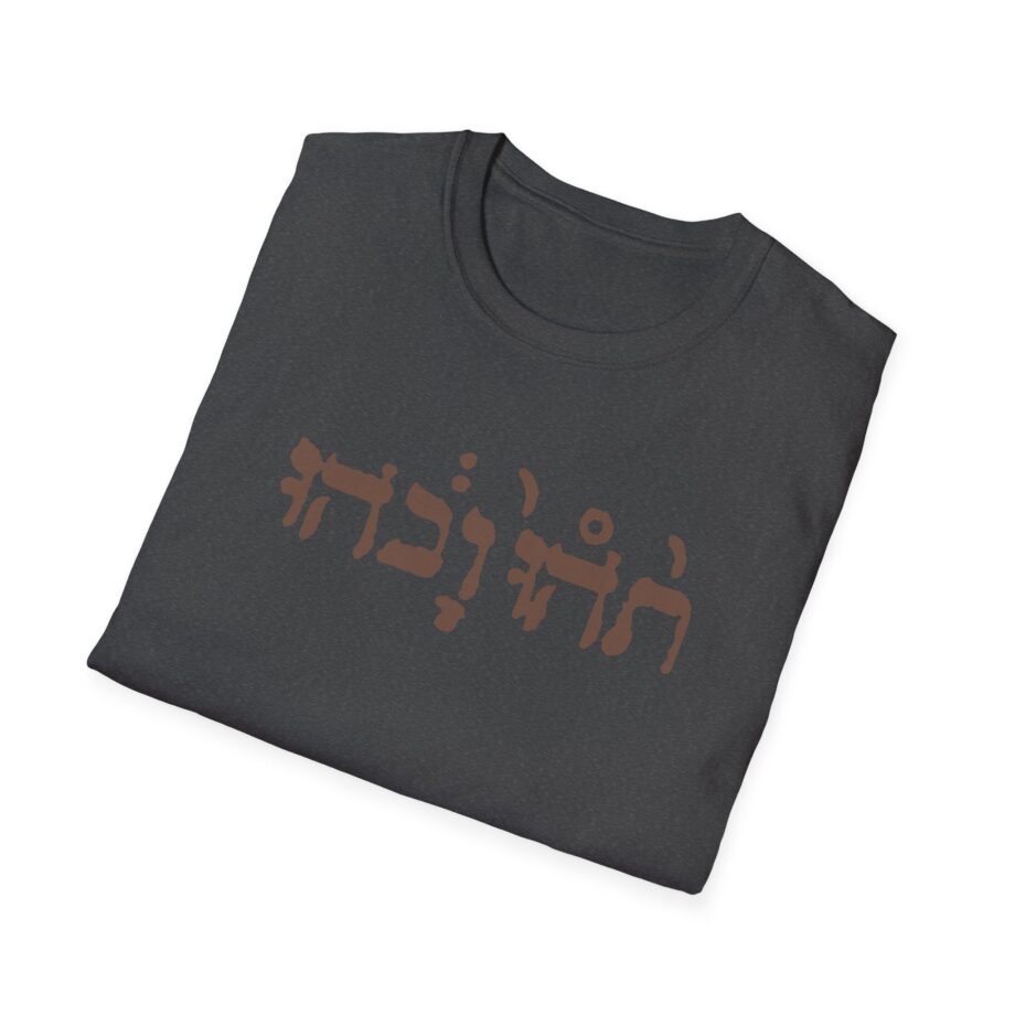 Godspeed You Black Emperor Unisex Softstyle T-Shirt