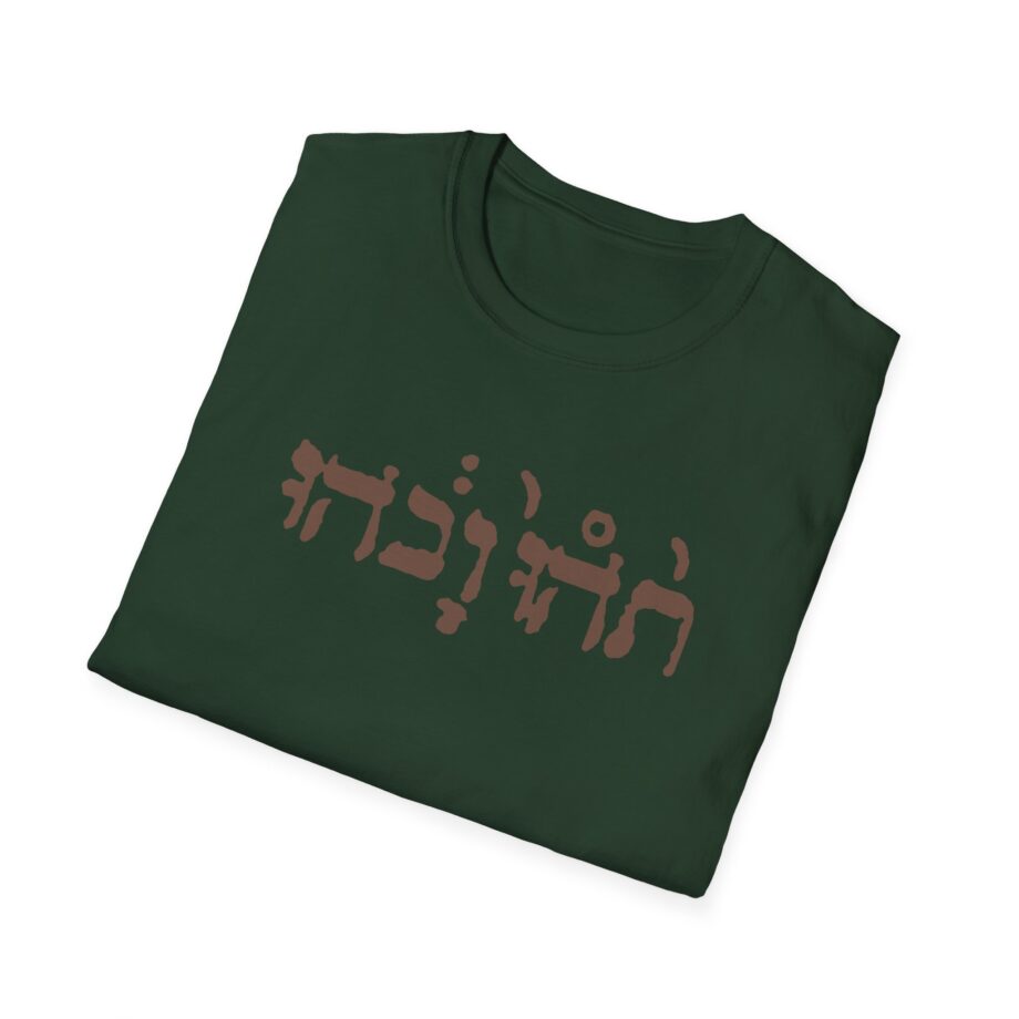 Godspeed You Black Emperor Unisex Softstyle T-Shirt
