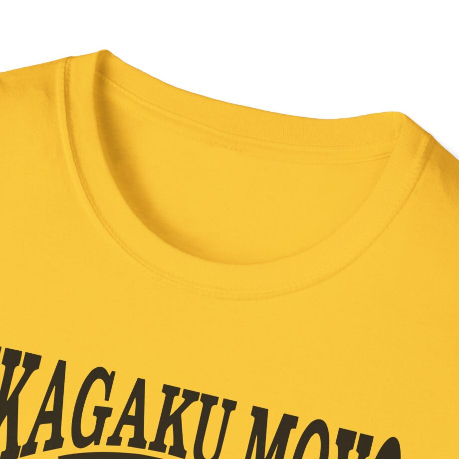 Kikagaku Moyo House in the Tall Grass Unisex Softstyle T-Shirt