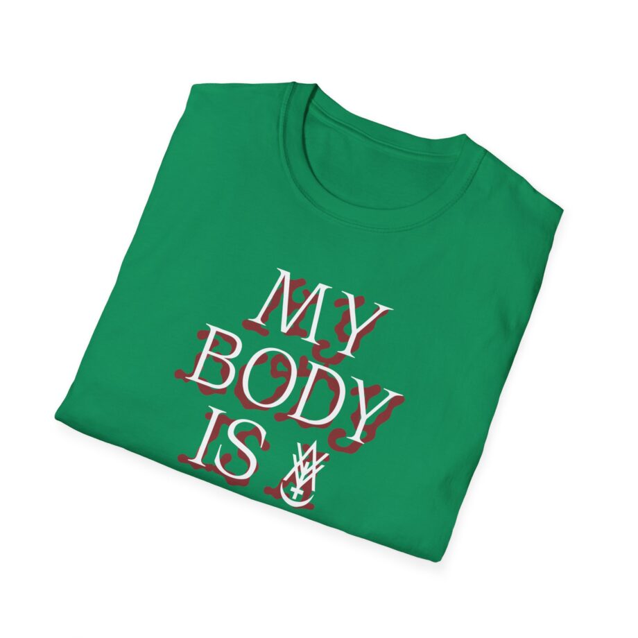 Amigo the Devil My Body is Dive Bar Unisex Softstyle T-shirt