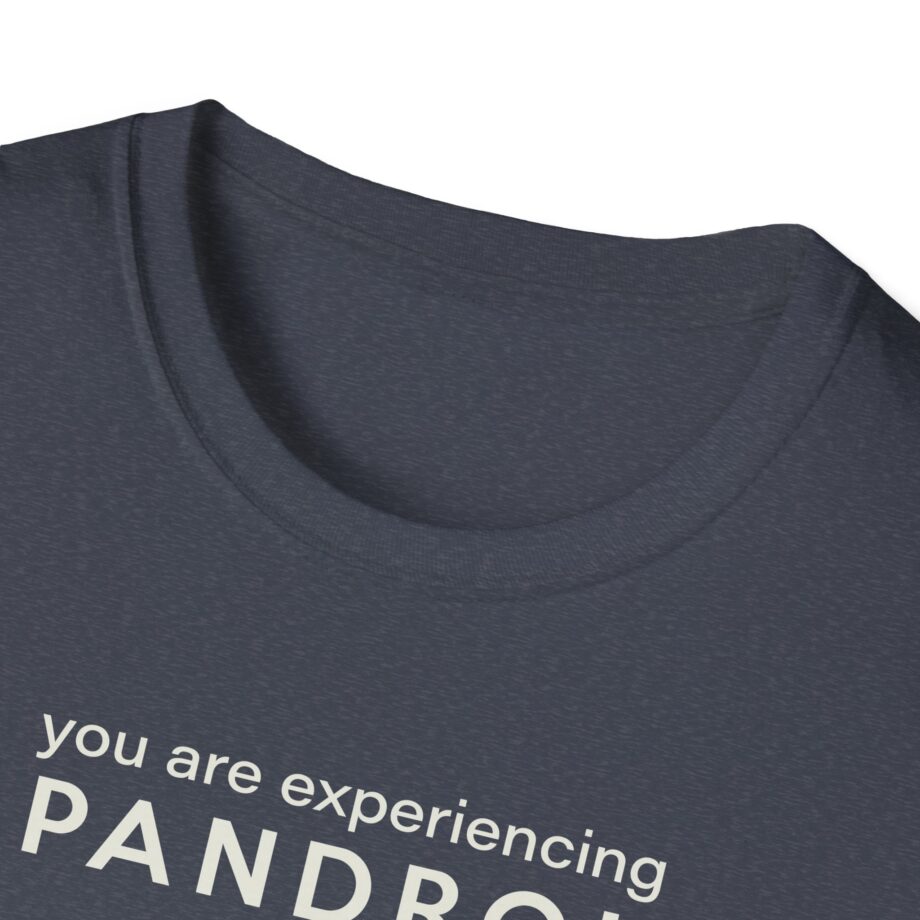 You Are Experiencing Japandroids Unisex Softstyle T-Shirt