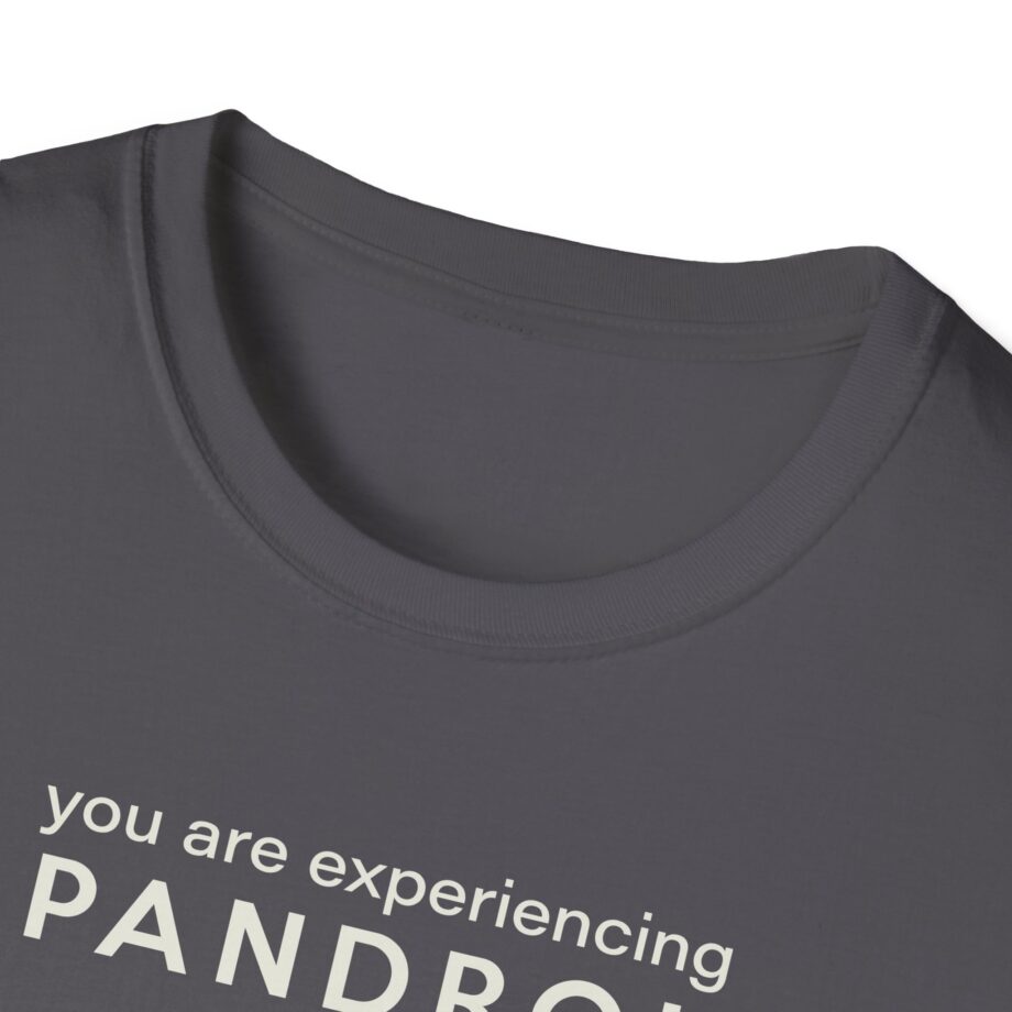 You Are Experiencing Japandroids Unisex Softstyle T-Shirt