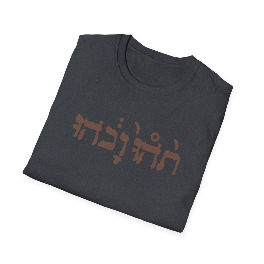 Godspeed You Black Emperor Unisex Softstyle T-Shirt