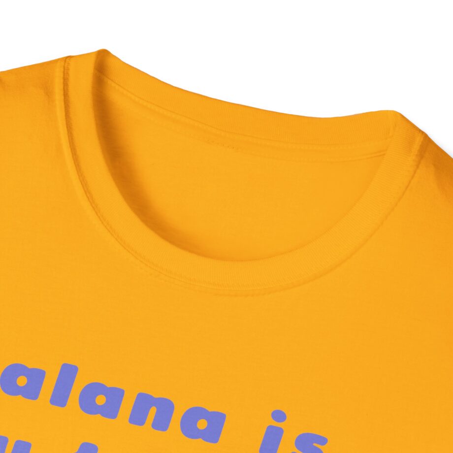 Haim Merch Este is My Favorite Unisex Softstyle T-shirt