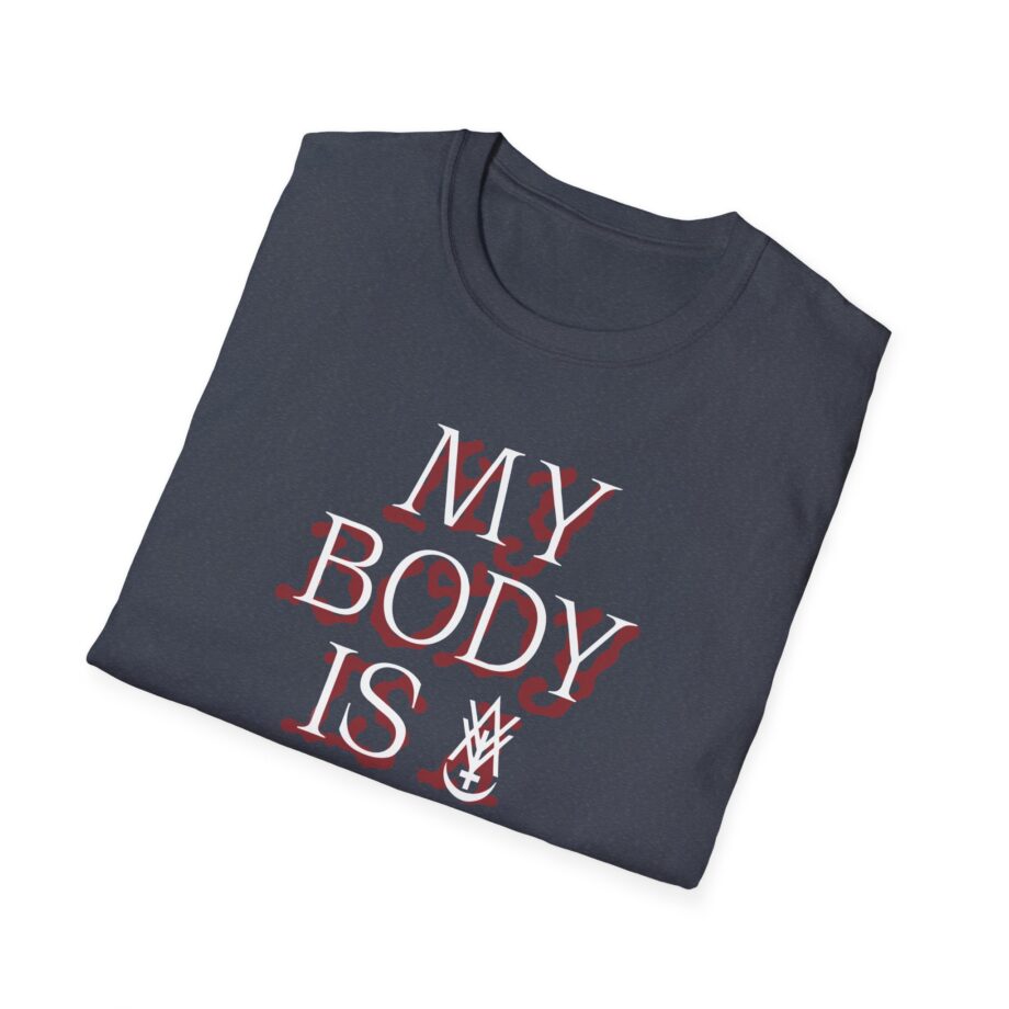 Amigo the Devil My Body is Dive Bar Unisex Softstyle T-shirt