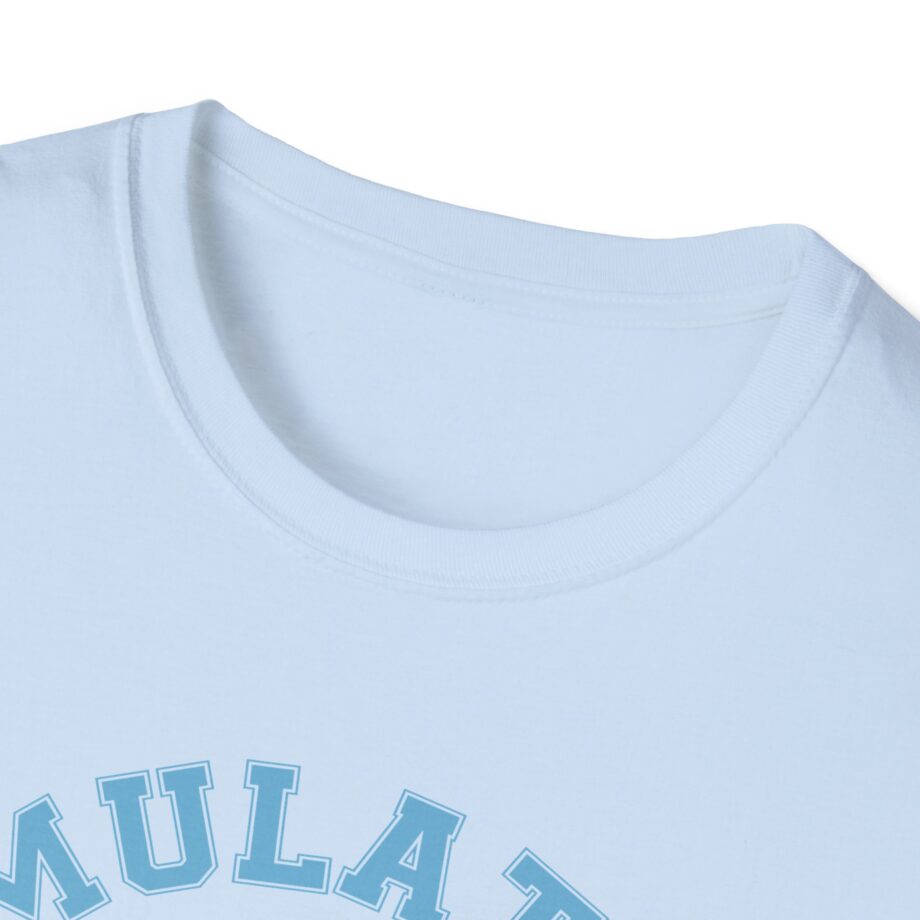 Lilsimsie Unisex Softstyle T-shirt