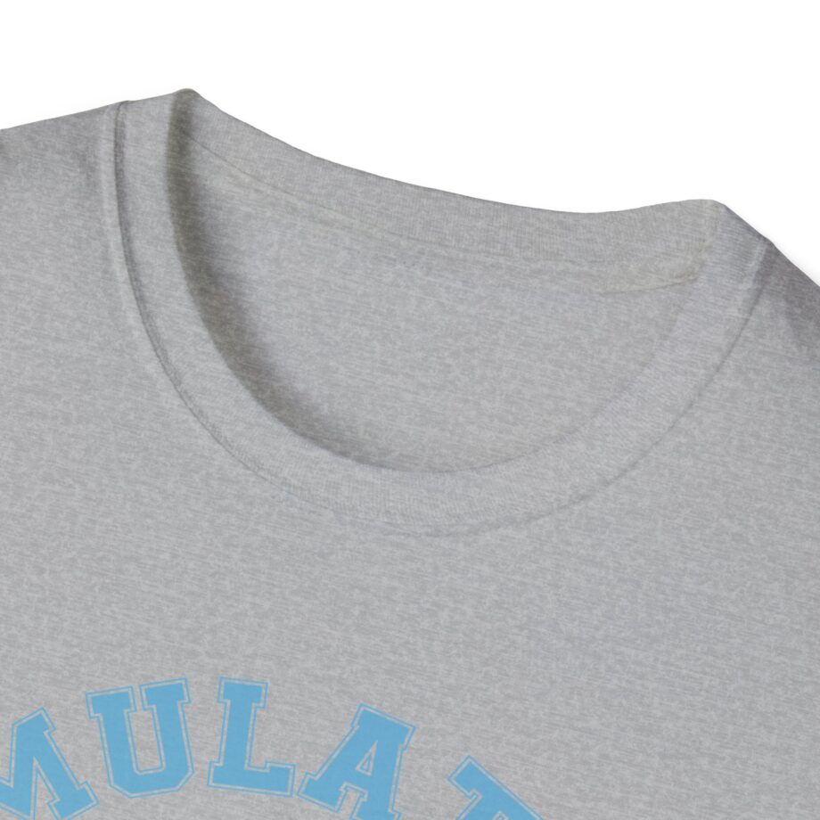 Lilsimsie Unisex Softstyle T-shirt