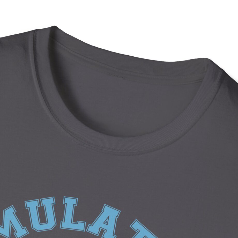 Lilsimsie Unisex Softstyle T-shirt