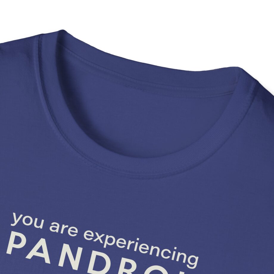 You Are Experiencing Japandroids Unisex Softstyle T-Shirt