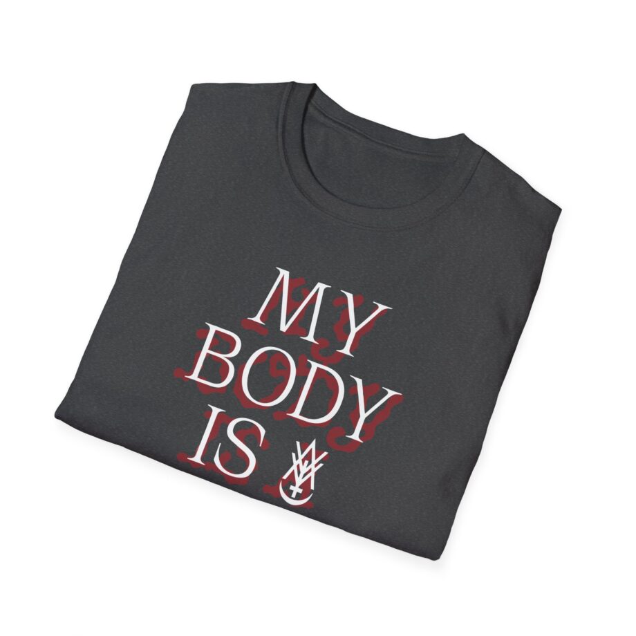 Amigo the Devil My Body is Dive Bar Unisex Softstyle T-shirt