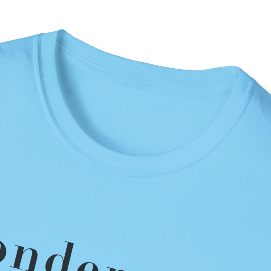Sonder Definition Unisex Softstyle T-shirt