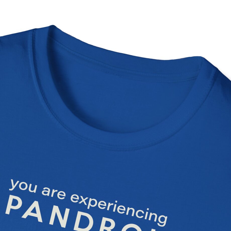 You Are Experiencing Japandroids Unisex Softstyle T-Shirt