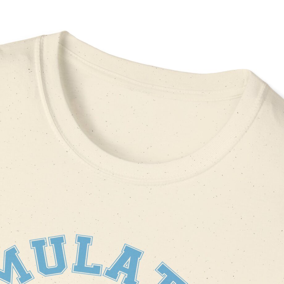 Lilsimsie Unisex Softstyle T-shirt