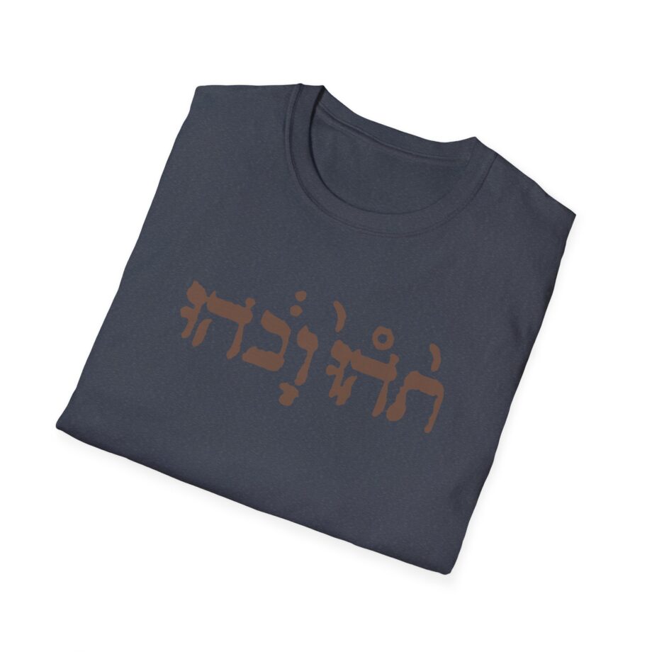 Godspeed You Black Emperor Unisex Softstyle T-Shirt