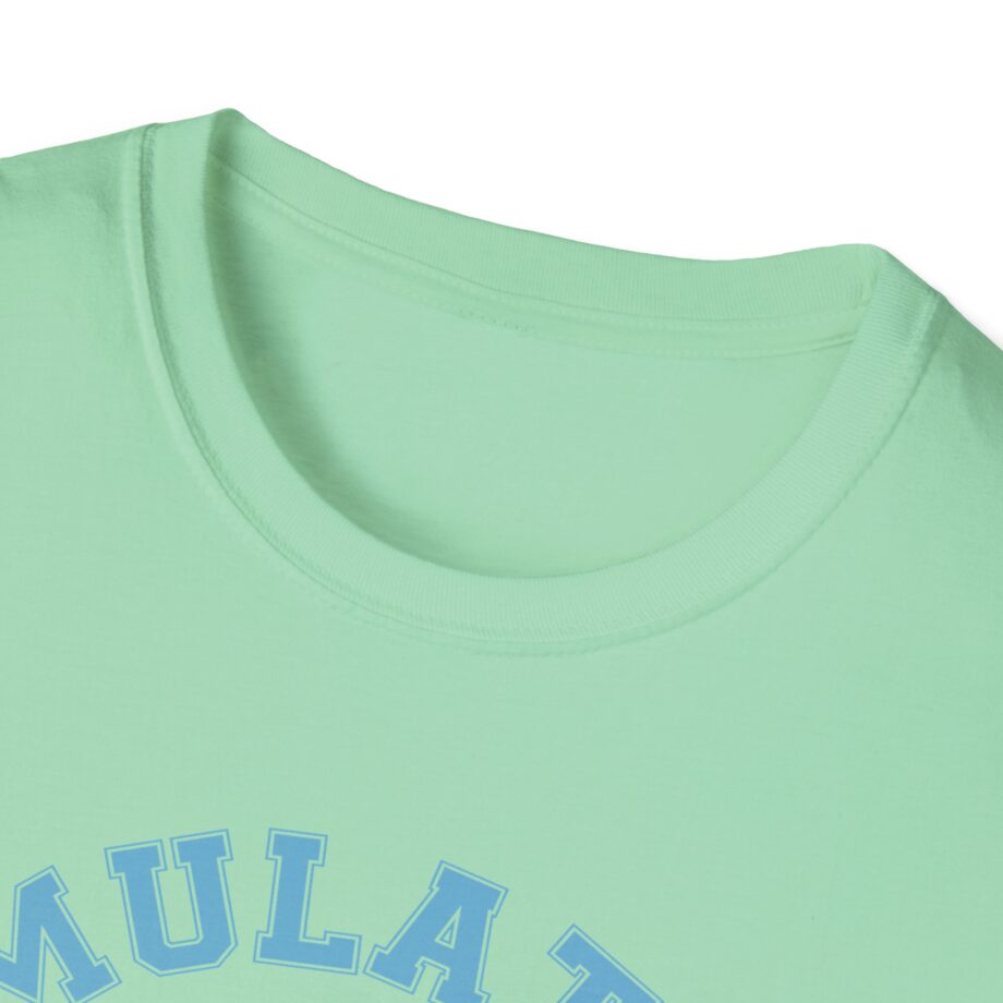 Lilsimsie Unisex Softstyle T-shirt