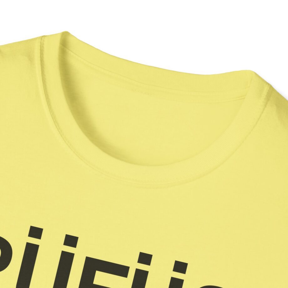 Rufus Du Sol Unisex Softstyle T-Shirt