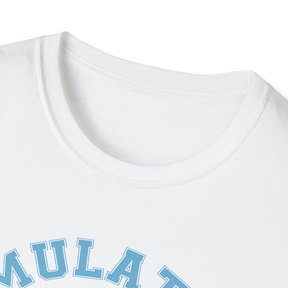 Lilsimsie Unisex Softstyle T-shirt