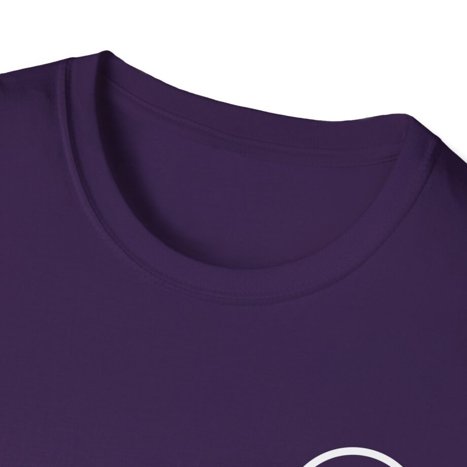 Rufus Du Sol Unisex Softstyle T-Shirt