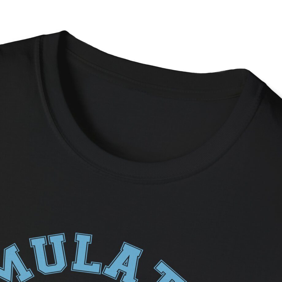 Lilsimsie Unisex Softstyle T-shirt