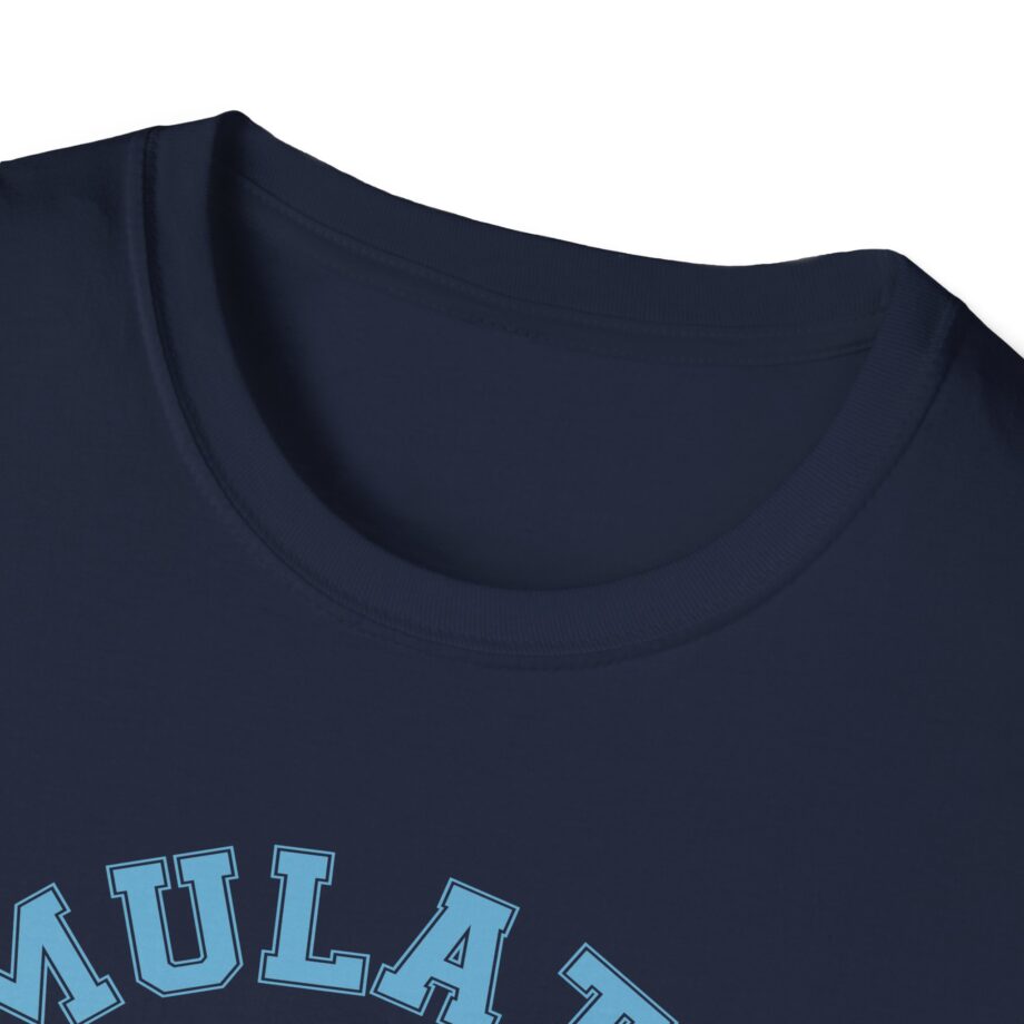 Lilsimsie Unisex Softstyle T-shirt