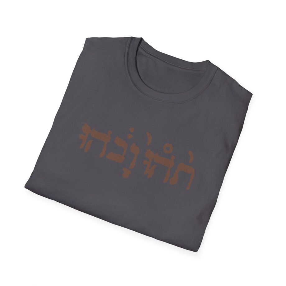 Godspeed You Black Emperor Unisex Softstyle T-Shirt