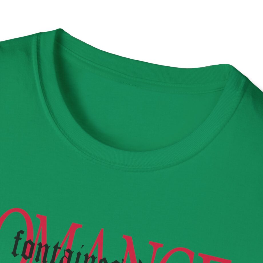 Fontaines D.C. Romance Unisex Softstyle T-Shirt